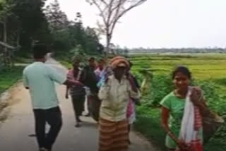 Mask distribution in kakopathar