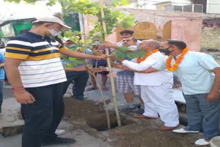 tree-plantation-on-wedding-anniversary-in-modinagar-ghaziabad