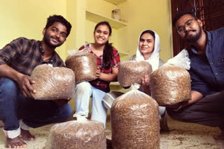 BAU graduate students will do commercial mushroom cultivation in ranchi