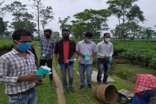 covid-awarness-among-tea-workers-by-all-assam-tribal-students-union