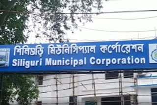 dengue-larvae-were-found-in-siliguri-municipal-corporation-area