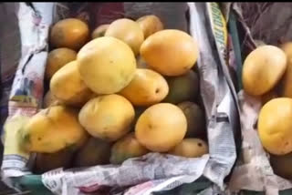Mango prices skyrocketing in Ghaziabad
