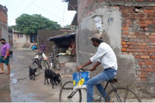 बेतिया