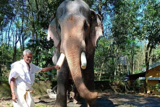 elephant bids good bye  elephant lover damodaran nair  elephant lover omana chettan  വൈകാരികമായി ആനയുടെ യാത്രാമൊഴി  ആനപ്രേമി ദാമോദരൻ നായർ  ആനപ്രേമി ഓമന ചേട്ടൻ