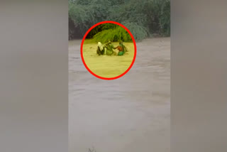 : Three womens washed away in flood