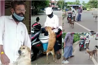 stray dogs  food for stray dogs  karnataka man stray dog feeding  തെരുവ് നായ്ക്കൾക്ക് അന്നം  തെരുവ് നായ്ക്കൾക്കും ഭക്ഷണം  തെരുവ് നായ്ക്കൾക്കും ഭക്ഷണം നൽകി കർണാടകക്കാരൻ