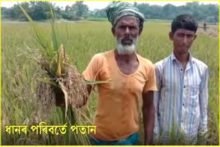 Bilasipara farmers tragedy