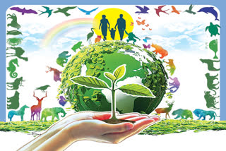 world environment day