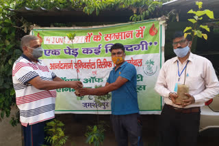 sunil anand distributed trees and plants for free in jamshedpur