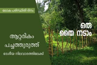 ജൈവവൈവിദ്ധ്യം  Haritha Kerala Mission with the project  പച്ചത്തുരുത്തുകൾ  പദ്ധതിയുമായി ഹരിതകേരളം മിഷൻ  Environment Day  12 fresh greens  Haritha Kerala Mission