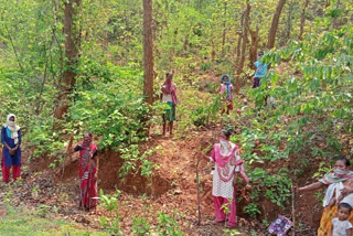 sakhi mandal guarded for environmental protection in ranchi