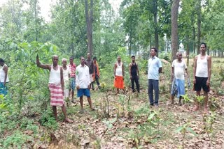 example of environmental awareness in giridih