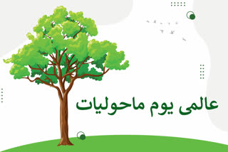 world environment day