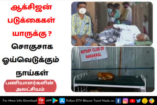 Two dogs sleeping oxygen bed in namakkal