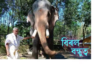 as-ntl-elephant-pays-final-salute-to-his-mahout-vis