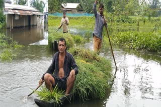 south nowboicha affected by singra river floods