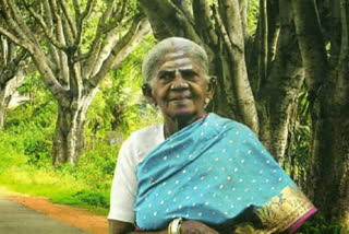 Statement of Saalumarada Thimmakka