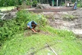 Plantation programme in Majuli