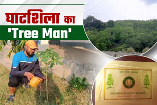 tree man of ghatshila