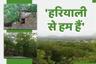 चित्तौड़गढ़ न्यूज, World Environment Day 2021