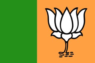 who will be the next BJP state president?