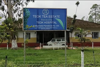 teok-tea-garden-covid-care-center
