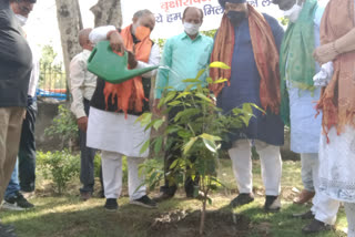 Sarva chintan foundation NGO plantation