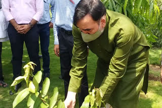 gopal rai starts tree plantation campaign in delhi