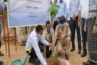 चित्तौड़गढ़ में पौधरोपण  कोर्ट परिसर में पौधरोपण  World Environment Day  Plantation in Chittaurgarh