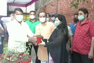 Minister Tulsi Silavat planted Tulsi plant