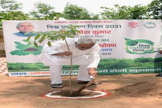 nitish kumar plantation