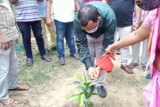 tree-plantation-by-mla-on-behalf-of-world-enviornment-day