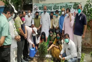 corona-paid-tribute-to-the-dead-on-environment-day-planted-saplings