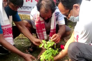 world environment day celebration in dhuburi