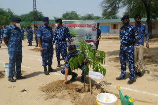 World Environment Day, crpf planted saplings