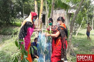 mangrove-tree-planting-in-cyclone-yaas-affected-basirhat