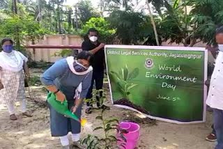 World Environment Day is celebrated in Jagatsinghpur