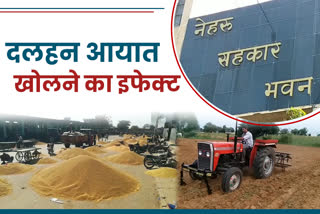 government procurement of mustard