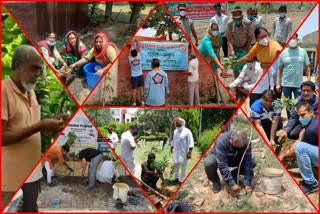 plantation delhi ncr  World Environment Day 2021
