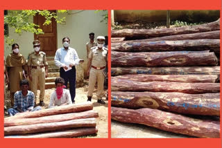 Authorities seized 67 red sandalwood logs