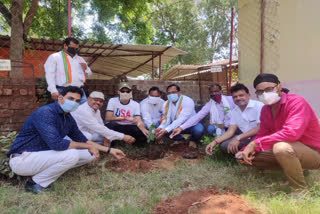 1100 saplings planted in 110 schools of Sitapur block