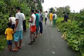 seuj Manikpur organisation celebrate environment day