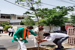 विश्व पर्यावरण दिवस, World Environment Day