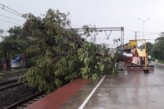 a tree fell on overhead wire due to storm at chandannagar railway station