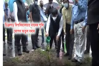 minister-atul-borah-planting-tree-at-dibrugarh-university