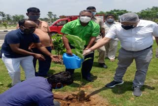 assembly-speaker-and-chief-justice-planted-saplings-on-world-environment-day