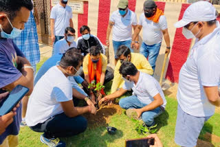 BJP MP Deepak Prakash planted saplings in ranchi
