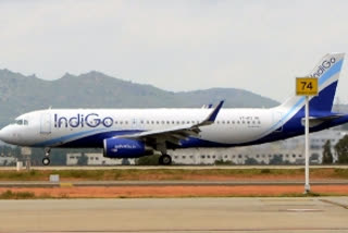 indigo, indigo profits, indigo losses, aviation industry