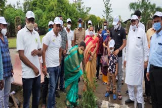 Nanded Waghala City Mnc tree distribution