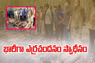 చిత్తూరు జిల్లాలో ఎర్ర చందనం డంప్ స్వాధీనం